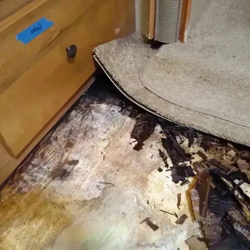 Wood Floor Water Damage in Green Springs, OH